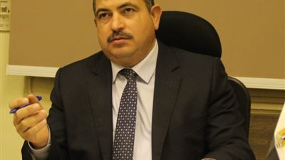 خبير اقتصادي: قرارات السيسي الهدف منها تحسين المستوى الاجتماعي 