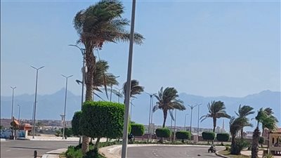 الأرصاد.. طقس مائل للحرارة على القاهرة.. ورياح مثيرة للرمال بالوادي الجديد