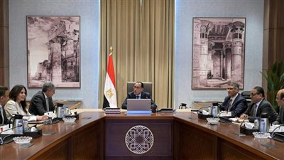 قرار عاجل من الحكومة بشأن استيراد سيارات ذوى الهمم