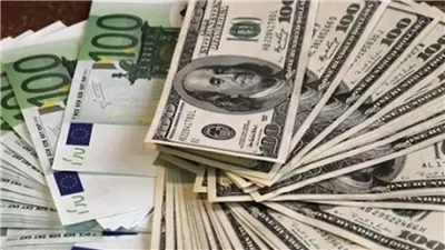 «الداخلية» تكثف حملاتها الأمنية ضد تجار العملات الأجنبية