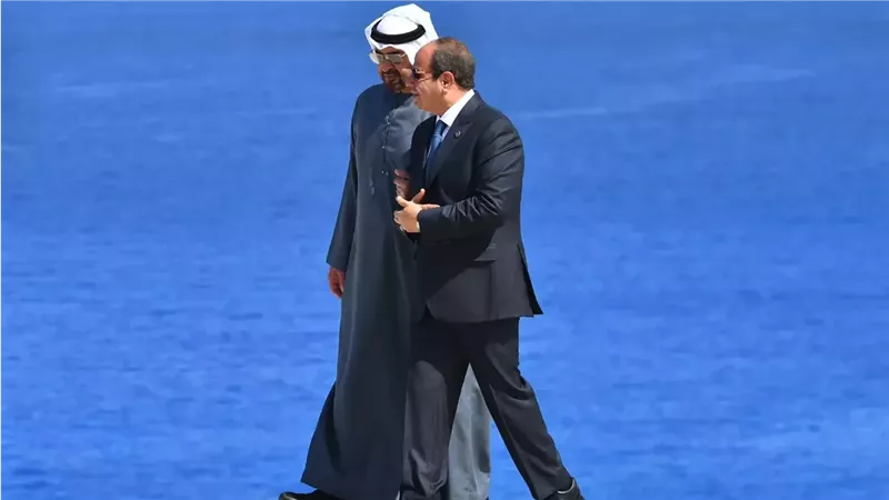 السيسي ونظيره الإماراتي