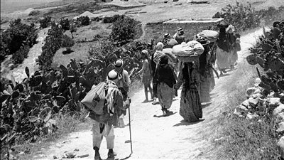 طيور هُجّرت قسرياً وأجبروا على ترك كل شيء فما الذي حدث؟