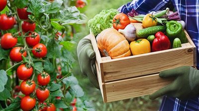 6 محاصيل يمكنك زراعتها في فصل الخريف بـ المنزل