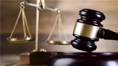 حجز استئناف «طبيب روض الفرج» للحكم 14 نوفمبر