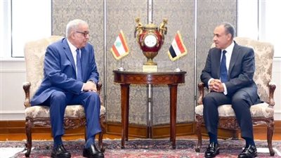 وزير الخارجية المصري ونظيره اللبناني يناقشان الأوضاع الراهنة في لبنان