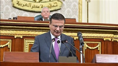 وزير الزراعة يستعرض أمام النواب إجراءات التعامل مع ملف الأمن الغذائي 