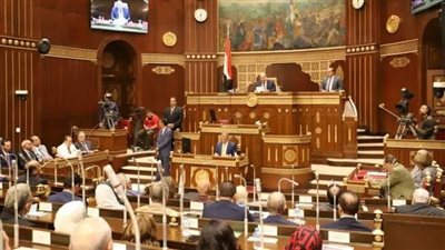 نائب: قمة بريكس فرصة لتعزيز التعاون بين مصر والدول الكبرى لتحقيق التنمية 