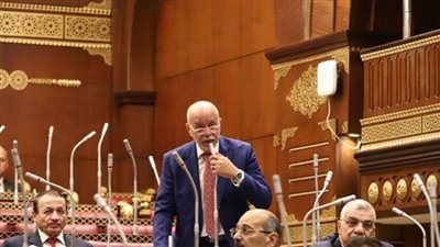 نائب: افتتاح محطة بشتيل نقلة نوعية في تطوير النقل بـ مصر