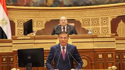 وزير الزراعة يستعرض جهود الدولة لزيادة الرقعة الزراعية أمام مجلس الشيوخ