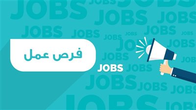 إليك الأوراق المطلوبة لـ وظائف وزارة العدل وطرق التقديم