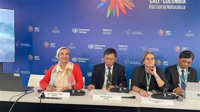 بـ 50 مليون دولار.. إعلان أول حزمة مشروعات تحفيزية ممولة من كونمينغ  