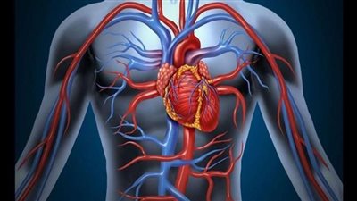 أعراض جسدية قد تكشف عن انسداد الشرايين القلبية: انتبه لهذه العلامات المبكرة