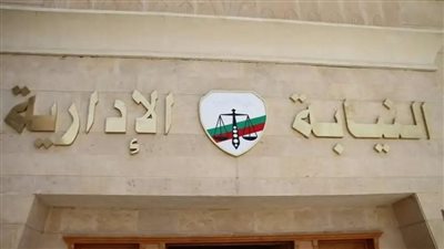 النيابة الإدارية تأمر بوقف عمل معدية نهرية غير صالحة فنيا بـ الجيزة