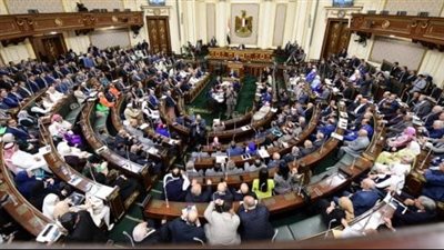 النواب يعلن الموافقة نهائيا على تعديلات جديدة بقانون هيئة الشرطة