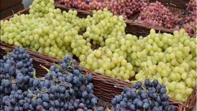 لأول مرة.. مصر تعلن تصدير العنب المصري إلى فيتنام