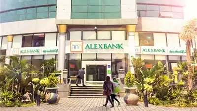 بنك الإسكندرية يوفر وظائف للشباب.. اعرف التفاصيل 