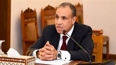 وزير الخارجية: نطمح لتحويل العلاقات السياسية بين مصر والكاميرون إلى شراكات اقتصادية