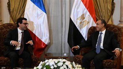 وزير الخارجية يبحث مع نظيره الفرنسي سبل التهدئة في غزة ولبنان
