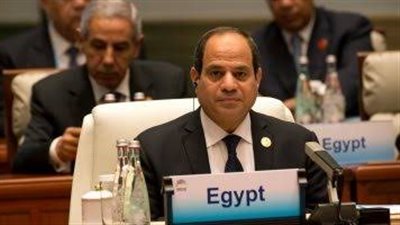 كلمة الرئيس السيسي خلال افتتاح قمة الدول الثمانى النامية