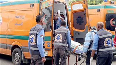 صعق كهربائي وراء مصرع عامل داخل مصنع بـ الدقهلية 