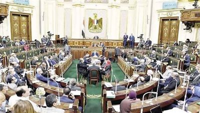 النواب يرحب بحكم المحكمة الدستورية في قضية الإيجار القديم