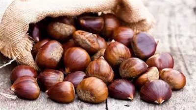 أبو فروة: 7 فوائد شتوية مذهلة لصحة جسمك