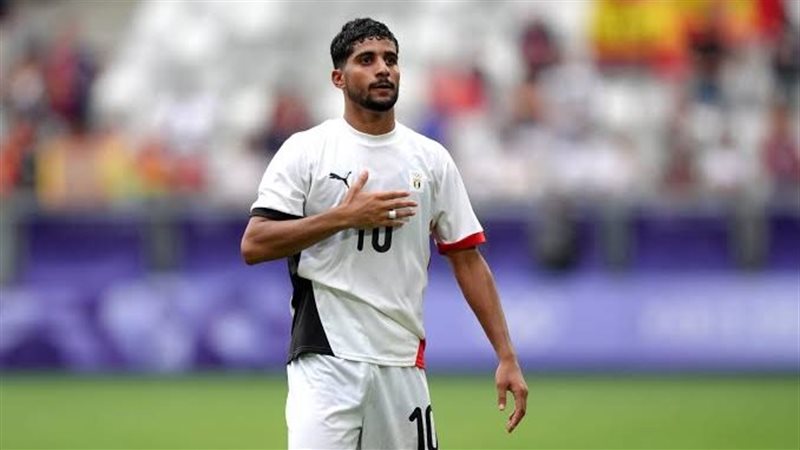 القارئ نيوز