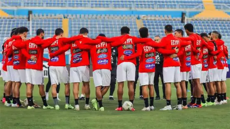 القارئ نيوز