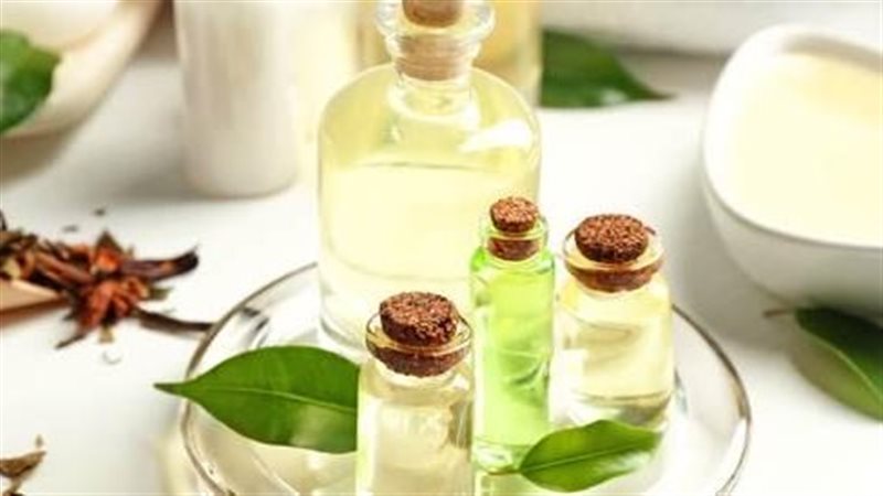 زيت شجرة الشاي 