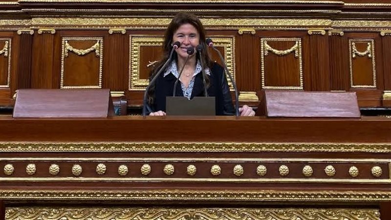 النائبة شيرين عليش