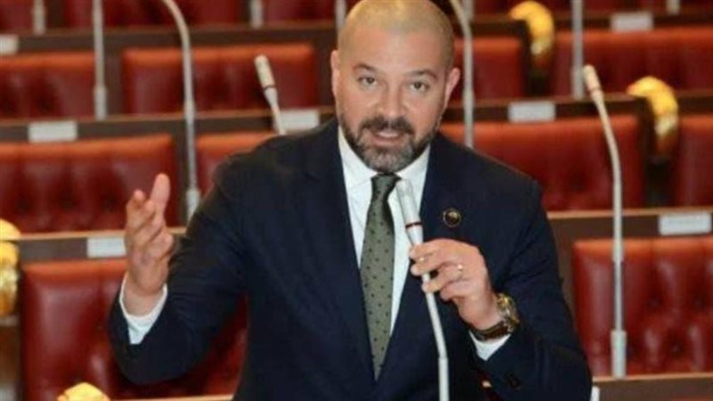 النائب أحمد دياب