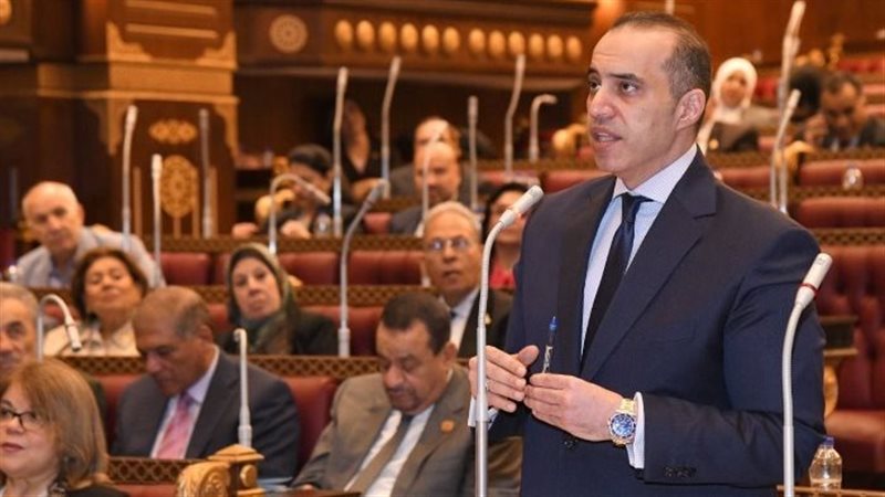 المستشار محمود فوزي