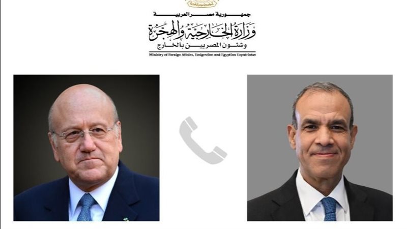 الدكتور بدر عبد العاطي