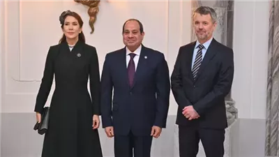 السيسي بمنتدى الأعمال الدنماركي: التحديات الإقليمية والدولية أثرت على مصر