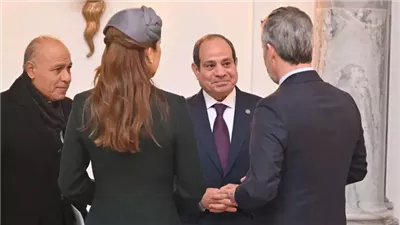 السيسي يثمن حرص مصر على الارتقاء بكافة أوجه التعاون مع الدنمارك