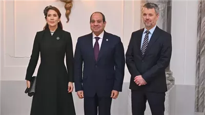 رسائل السيسي خلال مؤتمر منتدى الأعمال المصرى الدنماركي.. تعرف