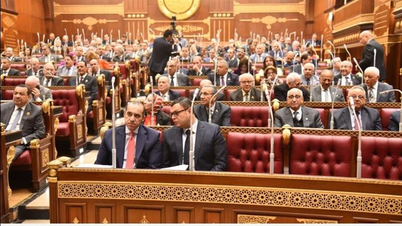 النواب
