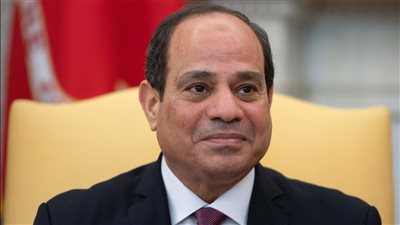 بعد الجولة الأوروبية.. السيسي يعود إلي أرض الوطن