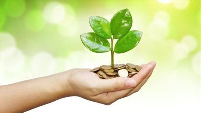 حكم تبرع الزوجة من مال زوجها دون إذنه: فتوى دار الإفتاء