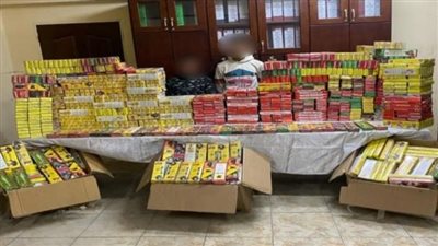 بـ 2 مليون جنيه.. أمن الفيوم يصادر ألعاب نارية بحوزة عنصرين إجراميين 