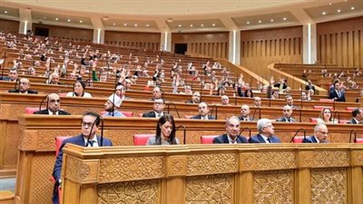 النواب يوافق على منح ضوابط الإذن بمراقبة حسابات السوشيال ميديا والمحمول