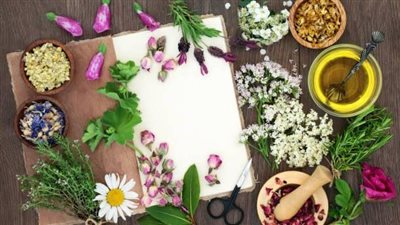 أعشاب طبيعية لتعزيز جمال البشرة والشعر وفوائدها بالشتاء