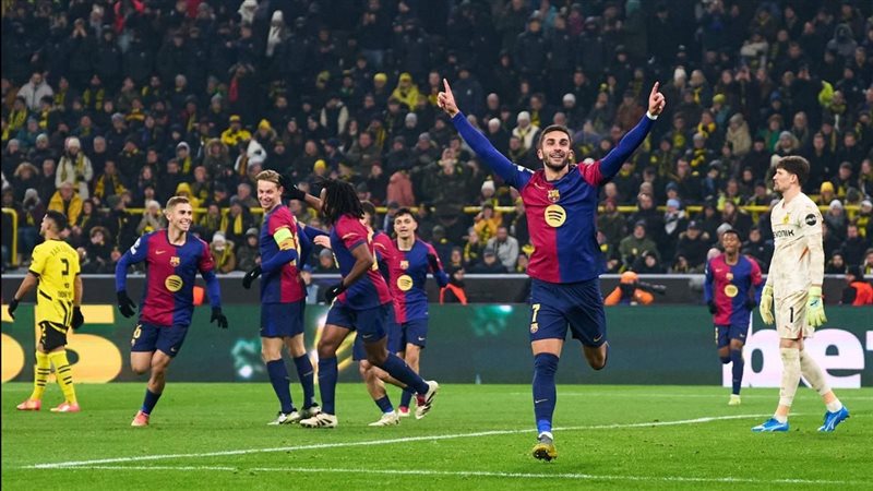 القارئ نيوز