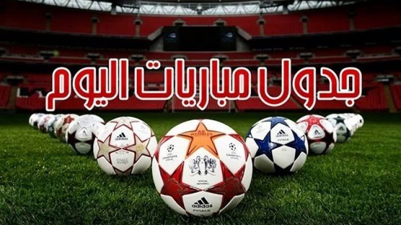 القارئ نيوز