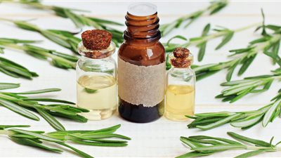 أهمية زيت الروزماري في تكثيف الشعر وتقوية فروة الرأس