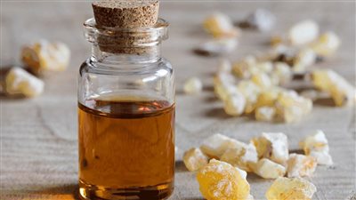 فوائد مذهلة للبان الدكر.. كنز لصحة الجهاز الهضمي والتنفسي وطرق استخدامه