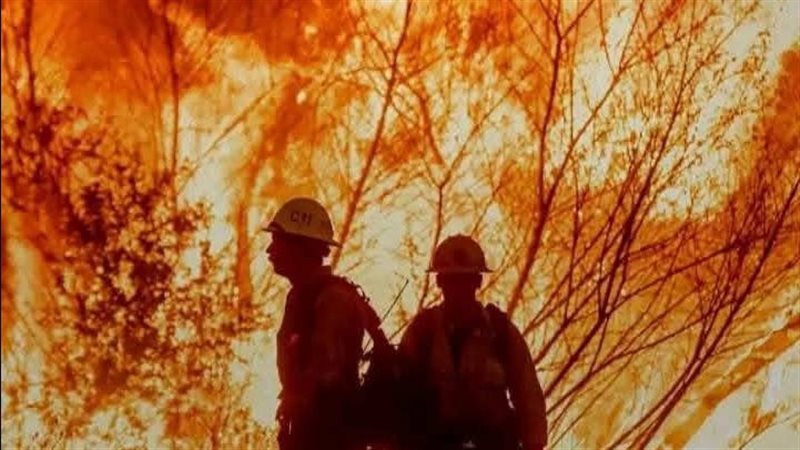 حرائق الغابات في