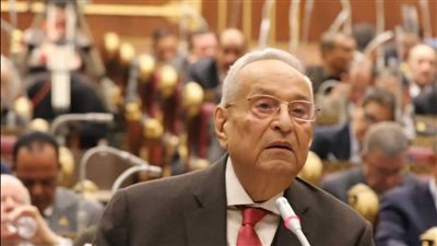 الشيوخ يُطالب الحكومة باستراتيجية وطنية شاملة للبحث العلمى