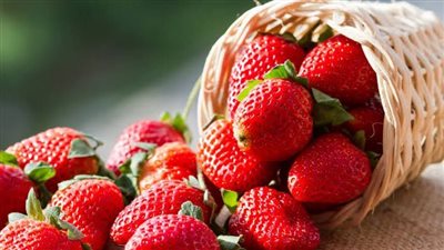 كيف يؤثر تناول 10 حبات من الفراولة يوميًا على صحتك؟