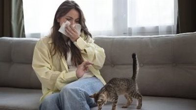 طرق علاج حساسية القطط.. نصائح وإرشادات للتخفيف من الأعراض